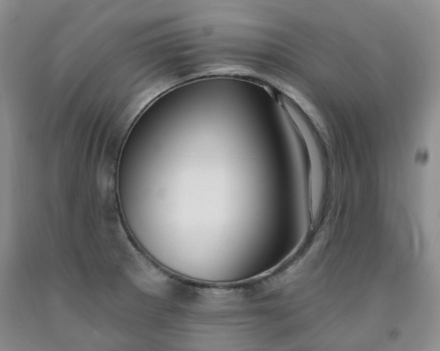 X0000091971281200709201357