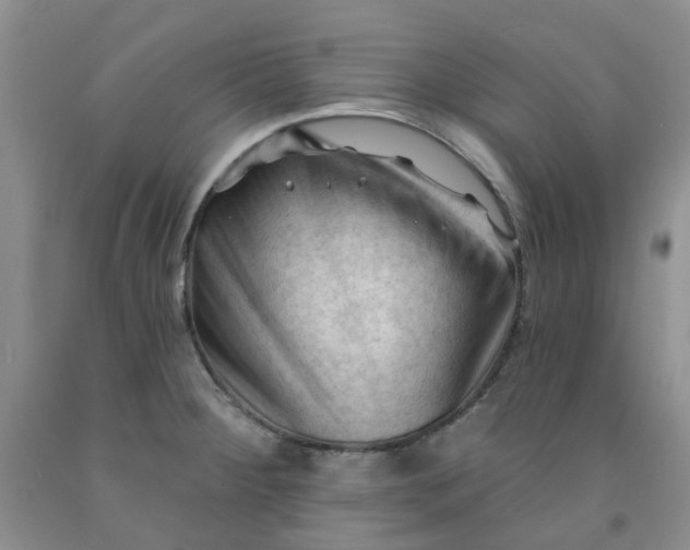 X0000091971284200709201357