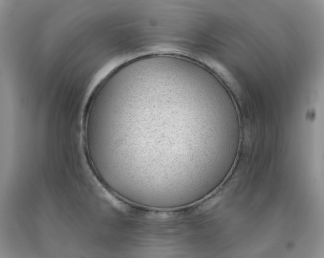 X0000091971286200709201357