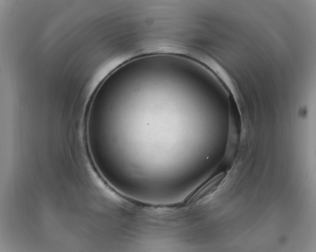 X0000091971293200709201357