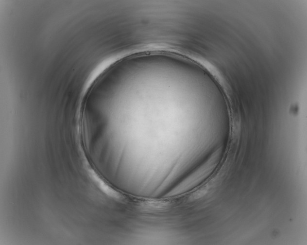 X0000091971294200709201357