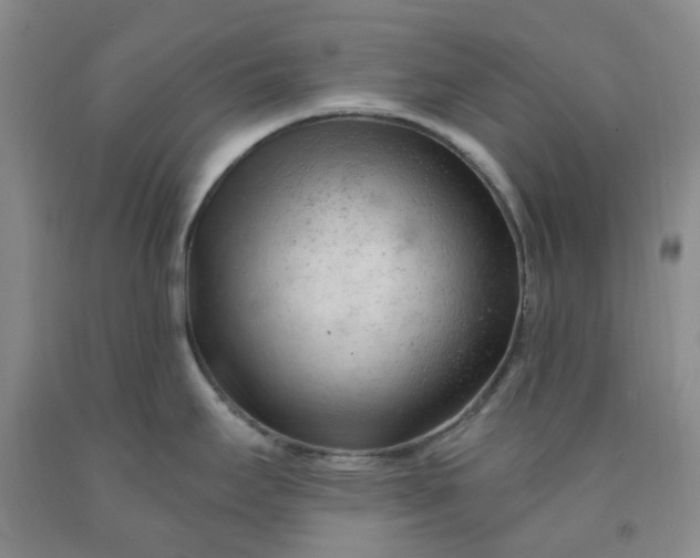 X0000091971295200709201357