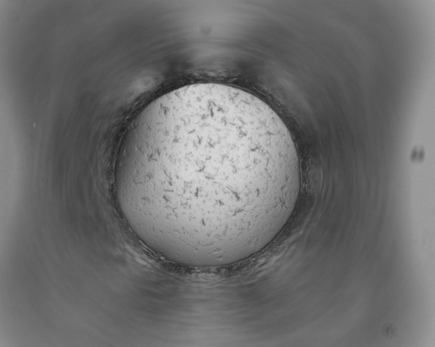 X0000091971297200709201356