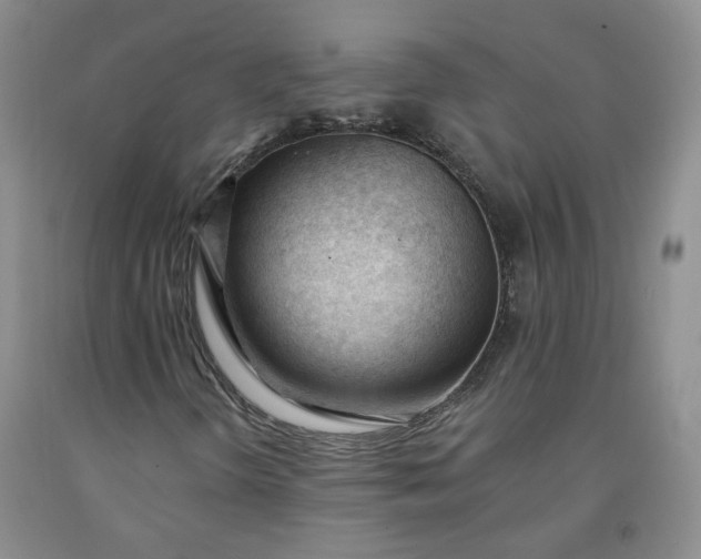 X0000091971298200709201356