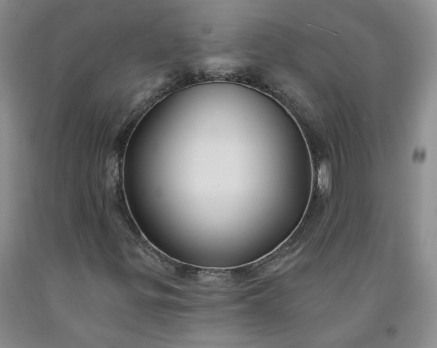 X0000091971299200709201356