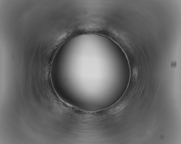 X0000091971300200709201356