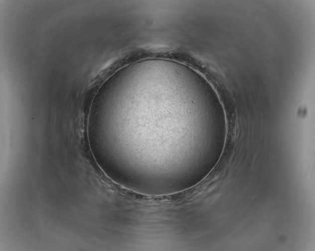 X0000091971301200709201356