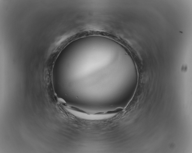 X0000091971303200709201356