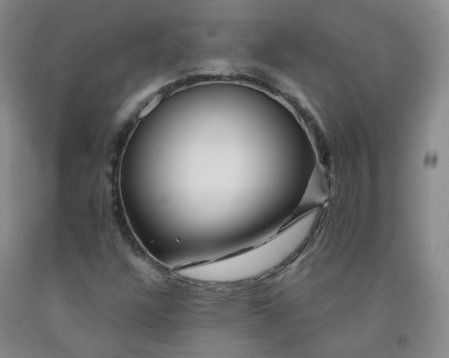 X0000091971304200709201356