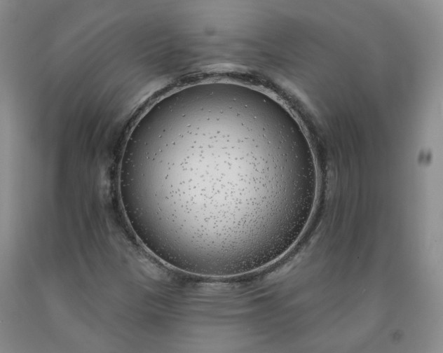 X0000091971305200709201356