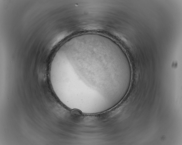X0000091971306200709201356