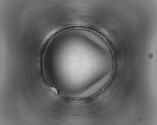 X0000091971307200709201356