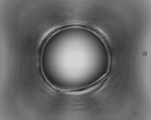 X0000091971310200709201357