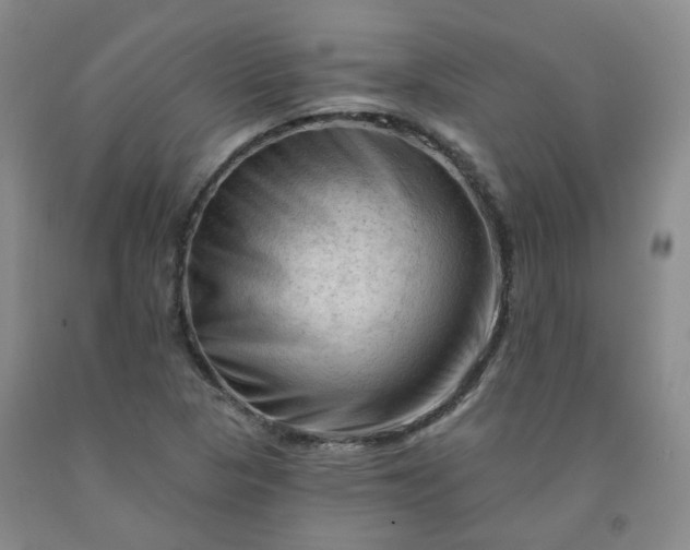 X0000091971313200709201357
