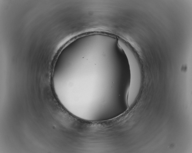 X0000091971316200709201357