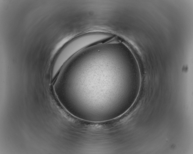 X0000091971317200709201357