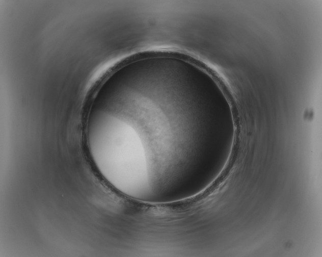 X0000091971319200709201357