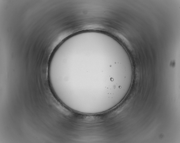 X0000091971322200709201357