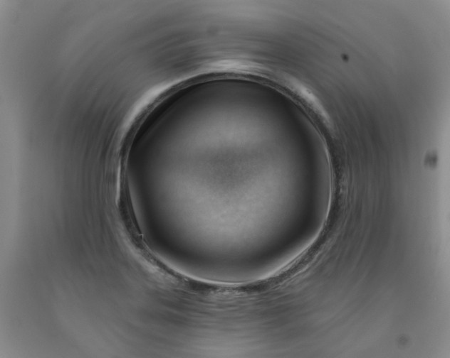 X0000091971323200709201357