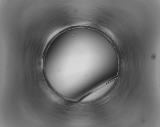 X0000091971324200709201357