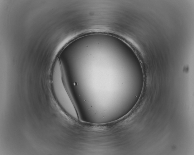 X0000091971325200709201357