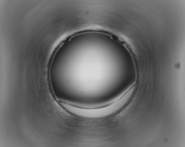 X0000091971326200709201357