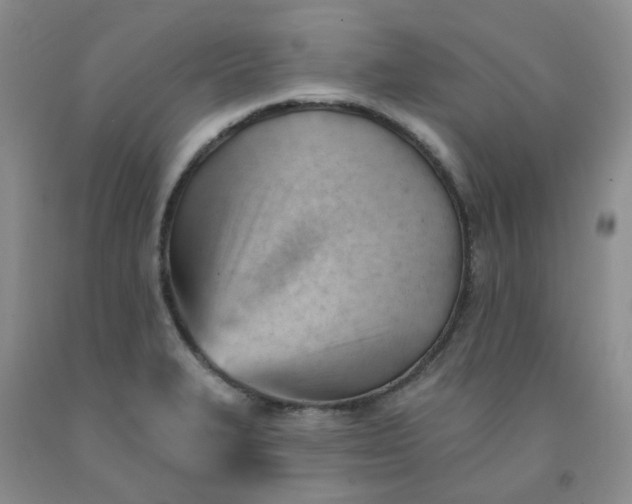 X0000091971327200709201357