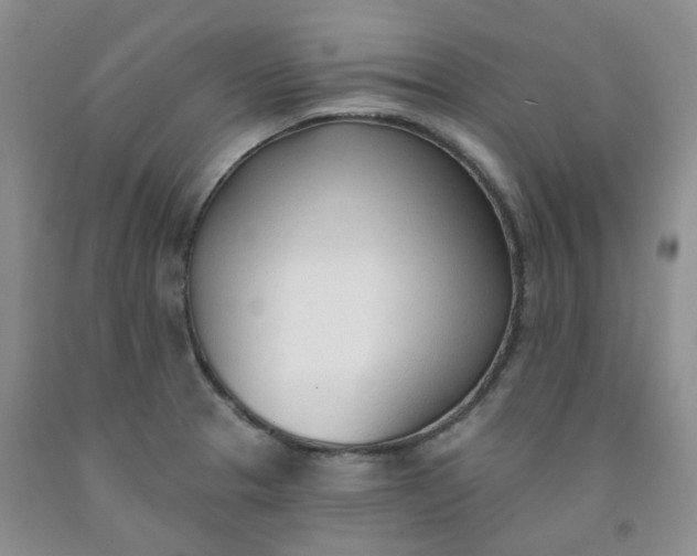X0000091971329200709201357