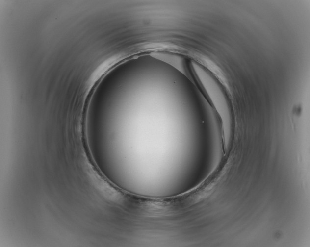 X0000091971330200709201357