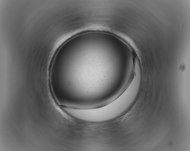 X0000091971335200709201357