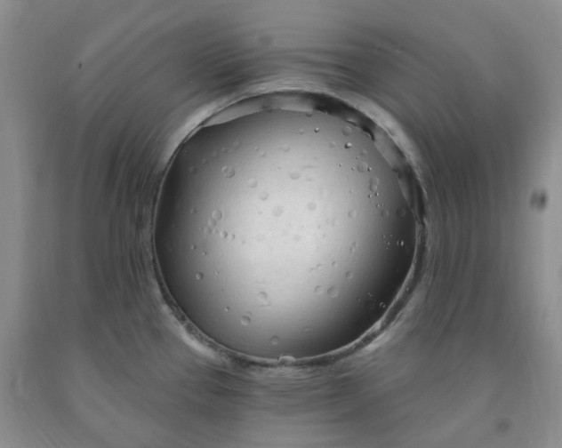 X0000091971337200709201357