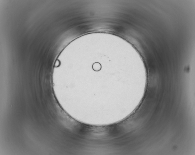 X0000091971338200709201357