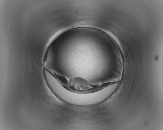 X0000091971341200709201357