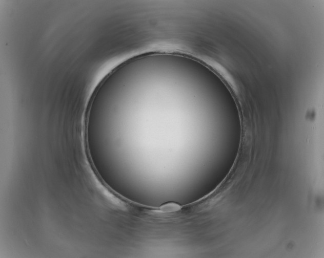 X0000091971343200709201357