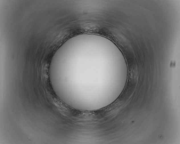 X0000091971346200709201356