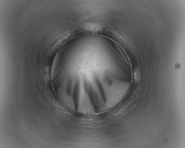 X0000091971347200709201356