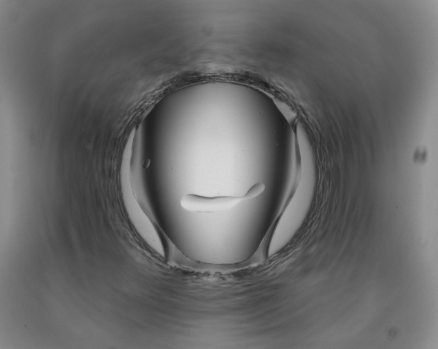 X0000091971348200709201356