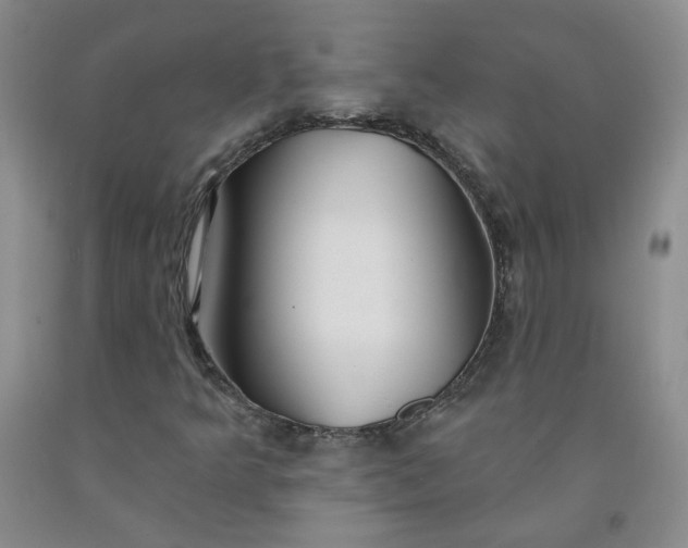 X0000091971349200709201356