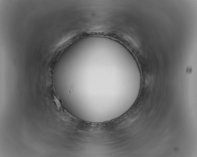 X0000091971350200709201356