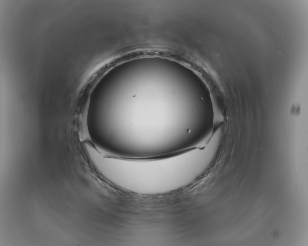 X0000091971352200709201356