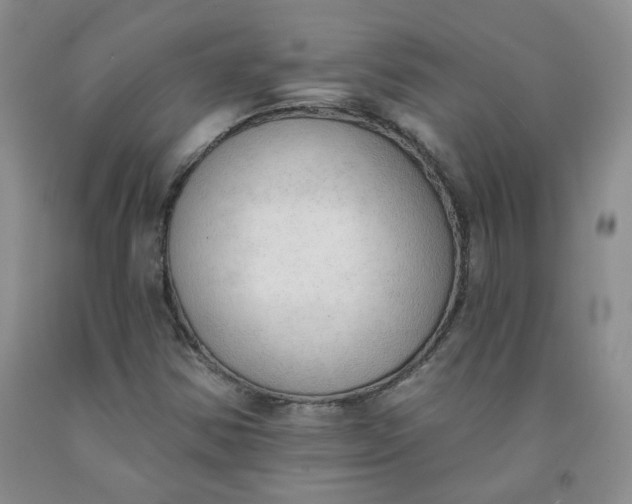 X0000091971354200709201356