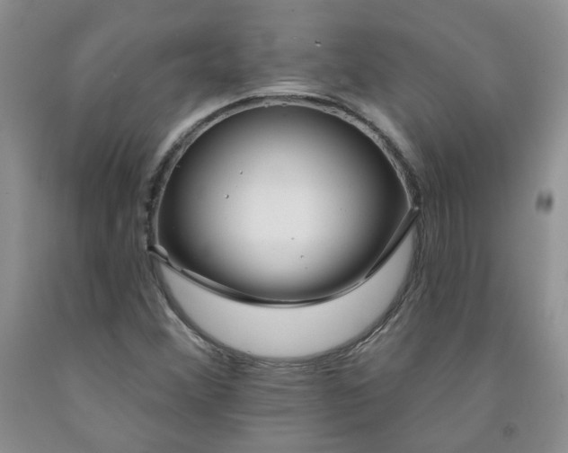 X0000091971356200709201356