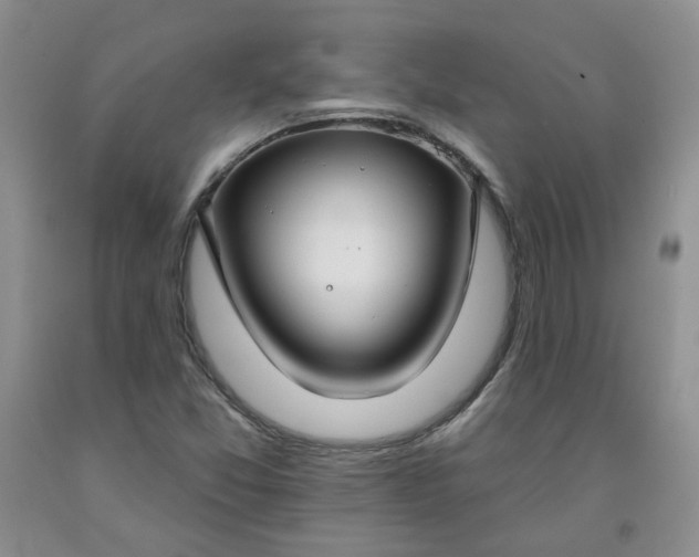 X0000091971357200709201356