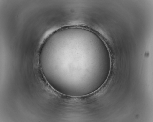 X0000091971358200709201356