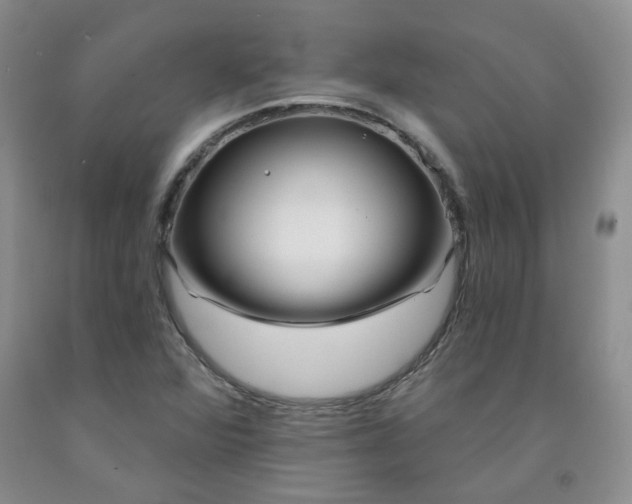 X0000091971360200709201356