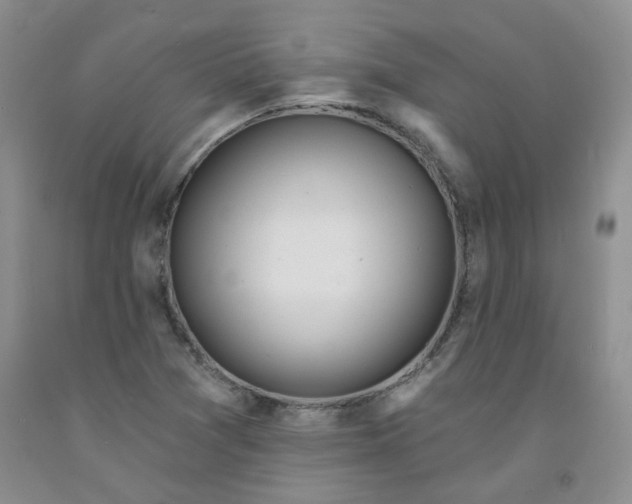 X0000091971361200709201356