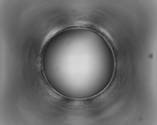 X0000091971362200709201356