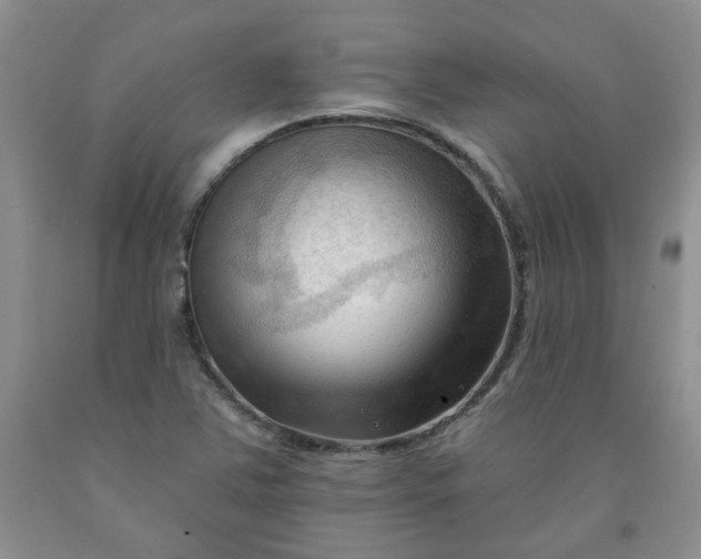 X0000091971363200709201356