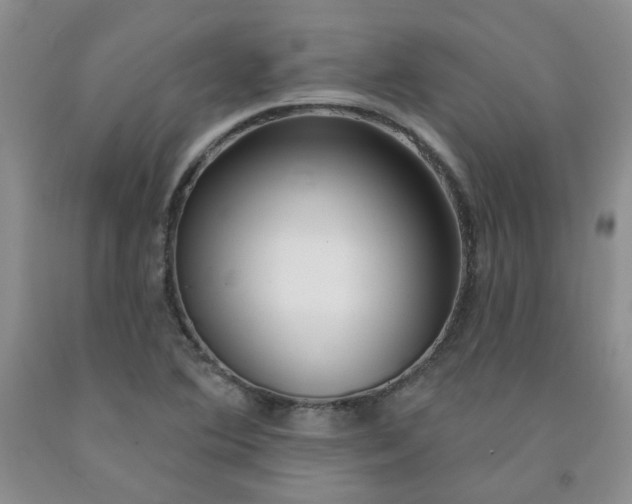 X0000091971364200709201356