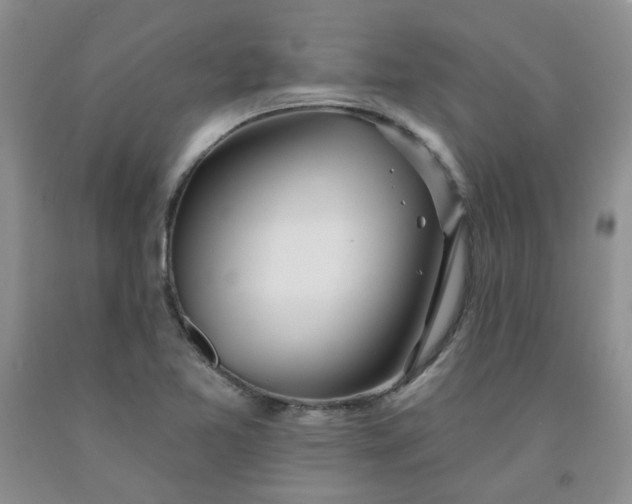 X0000091971365200709201356